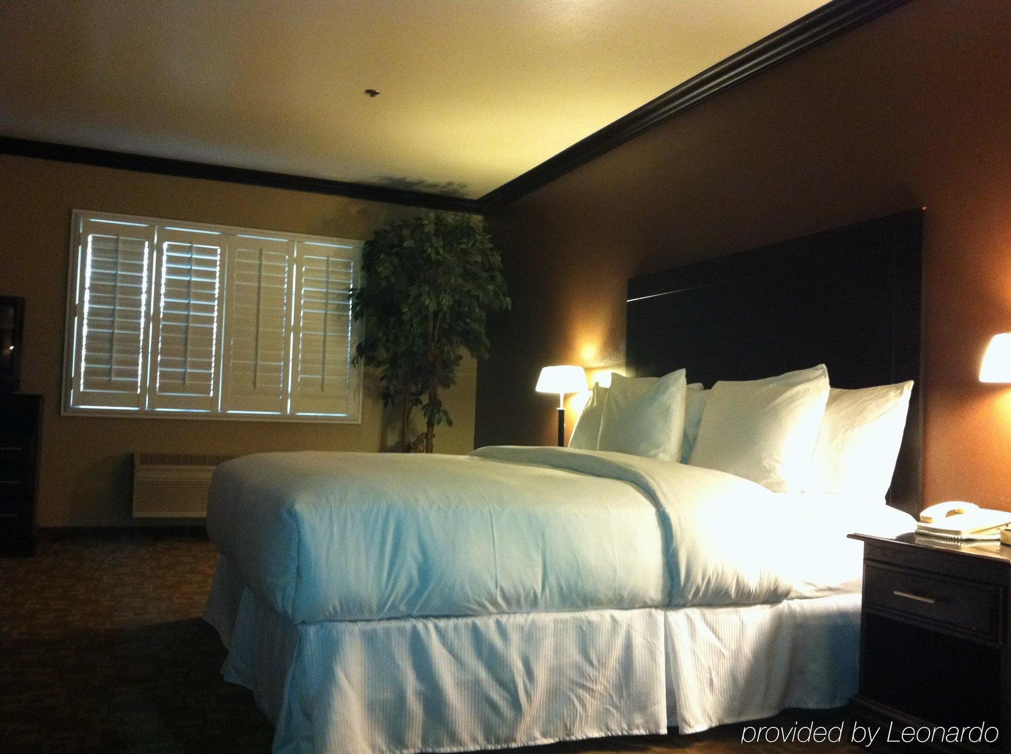 Blvd Hotel & Suites - Walking Distance To Hollywood Walk Of Fame (Adults Only) Лос-Анджелес Номер фото